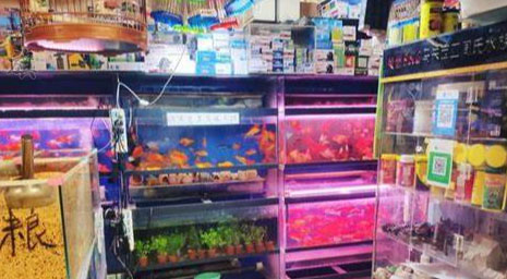 通過百度地圖搜索到的一家花鳥魚店家店鋪面積很小有點(diǎn)雜亂.jpg