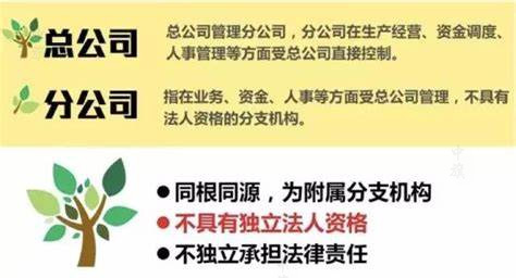 總公司和分公司的財產關系.jpg