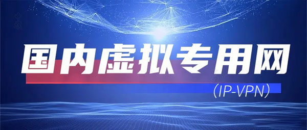 國(guó)內(nèi)虛擬專用網(wǎng).jpg
