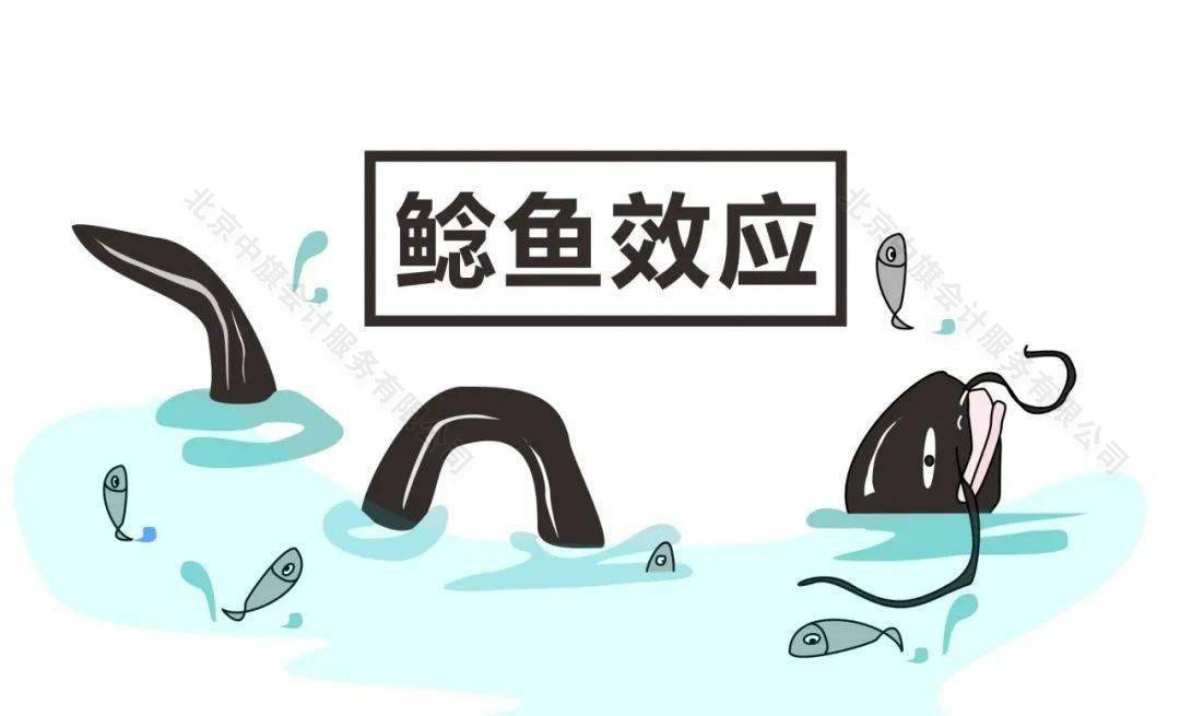 鯰魚(yú)效應(yīng).jpg