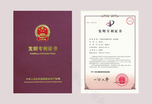 專(zhuān)利證書(shū)示意圖認(rèn)識(shí)就行了.jpg
