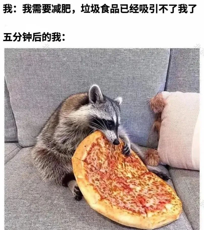 我要減肥，我要減肥，我要減肥啊.jpg