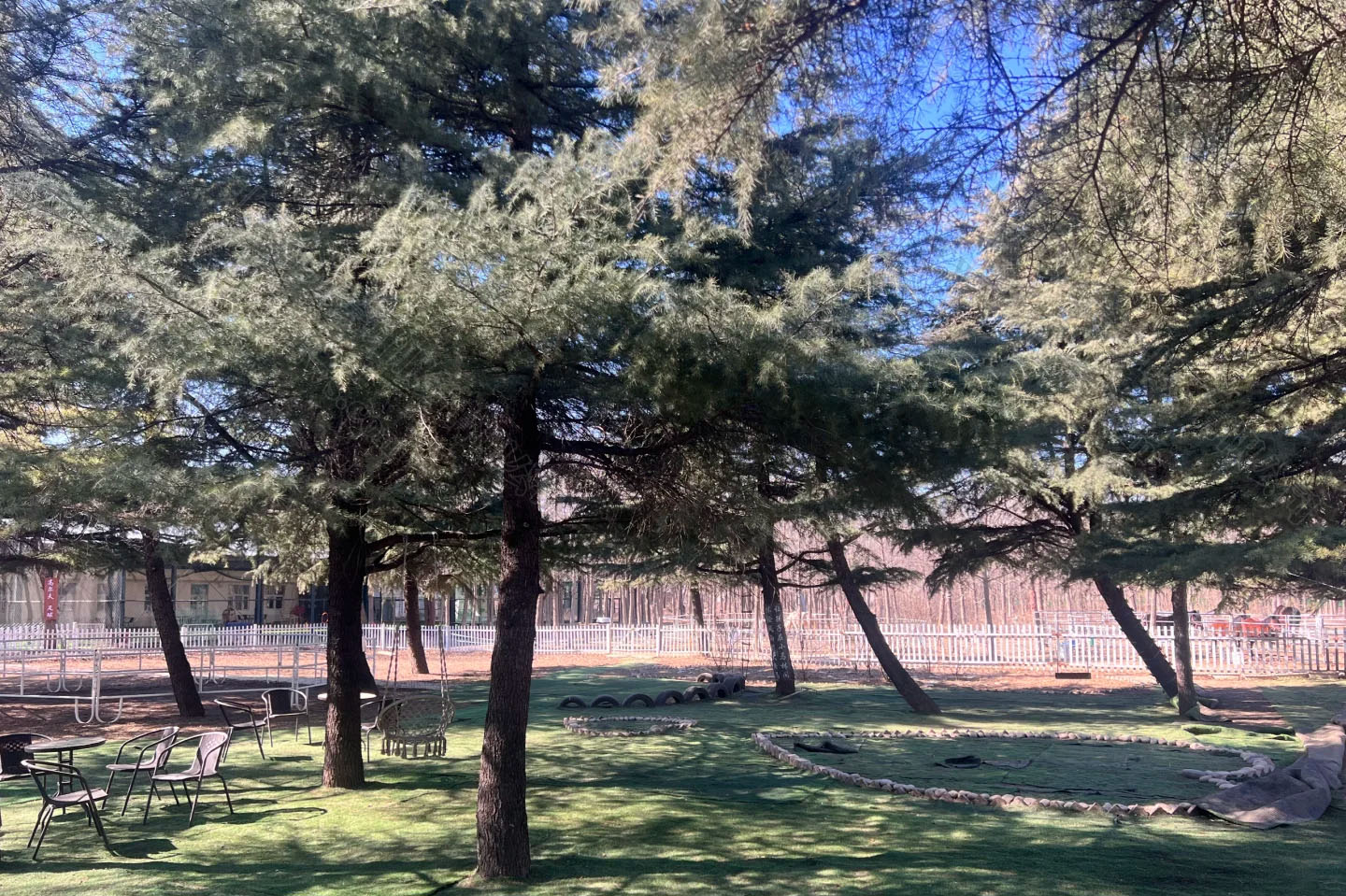 北京馬術(shù)館內(nèi)景，看著非常哇塞.jpg
