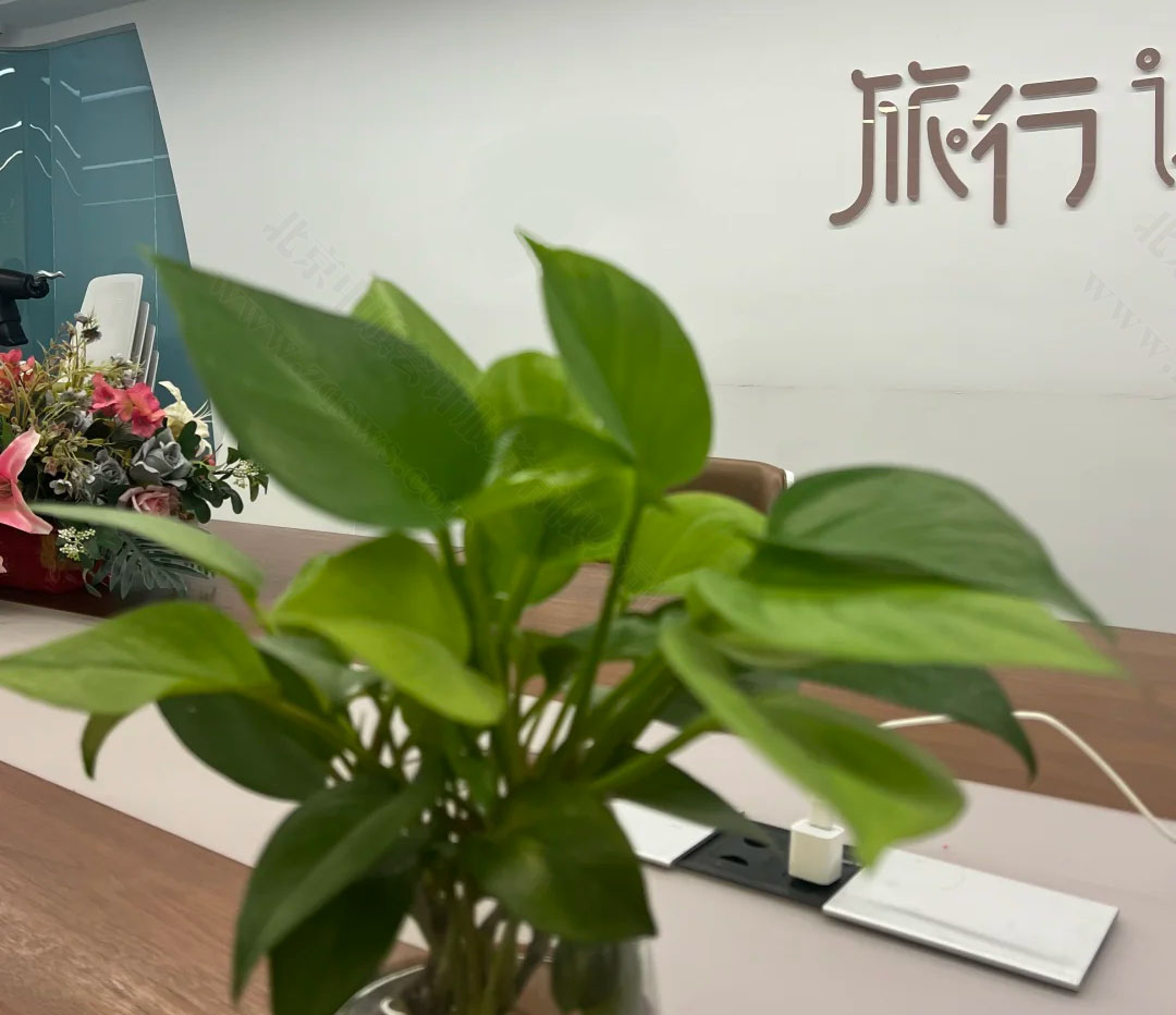 旅行社分公司備案細(xì)節(jié)多.jpg 旅行社分公司備案細(xì)節(jié)多.jpg