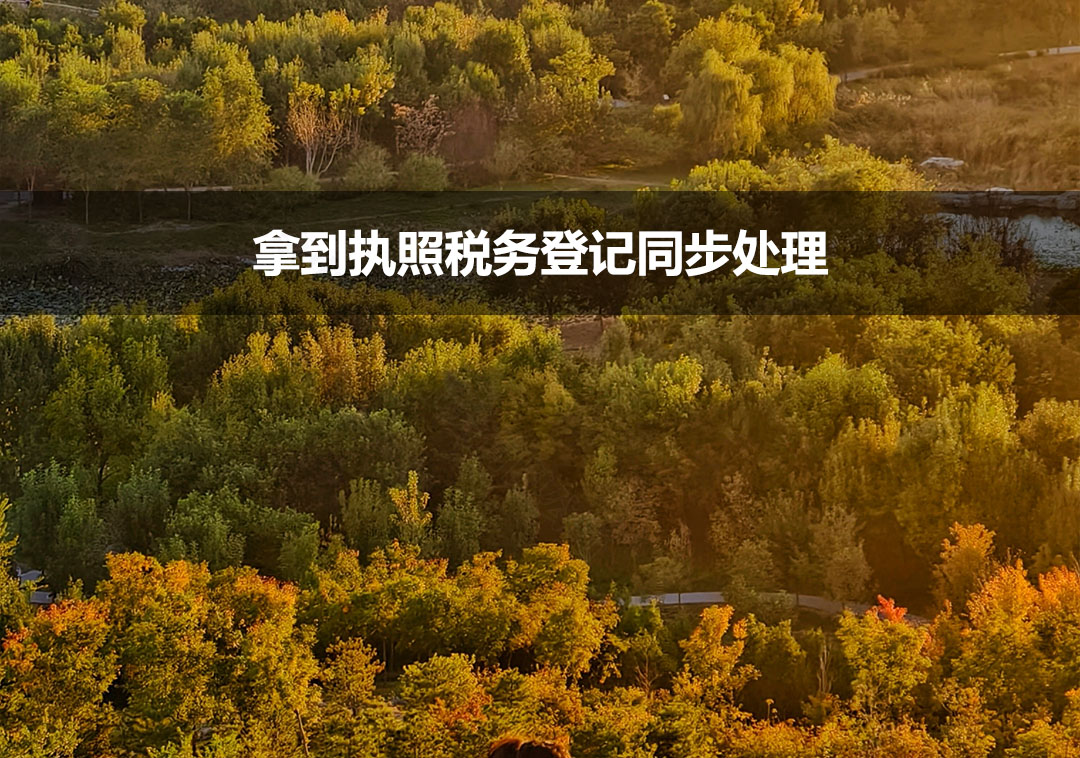 拿到執(zhí)照稅務(wù)登記同步處理.jpg 拿到執(zhí)照稅務(wù)登記同步處理.jpg