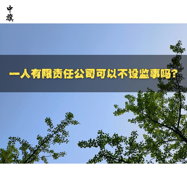 一人有限責(zé)任公司可以不設(shè)監(jiān)事嗎？