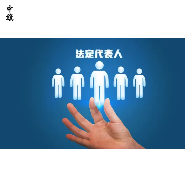 有限公司股份怎么分？